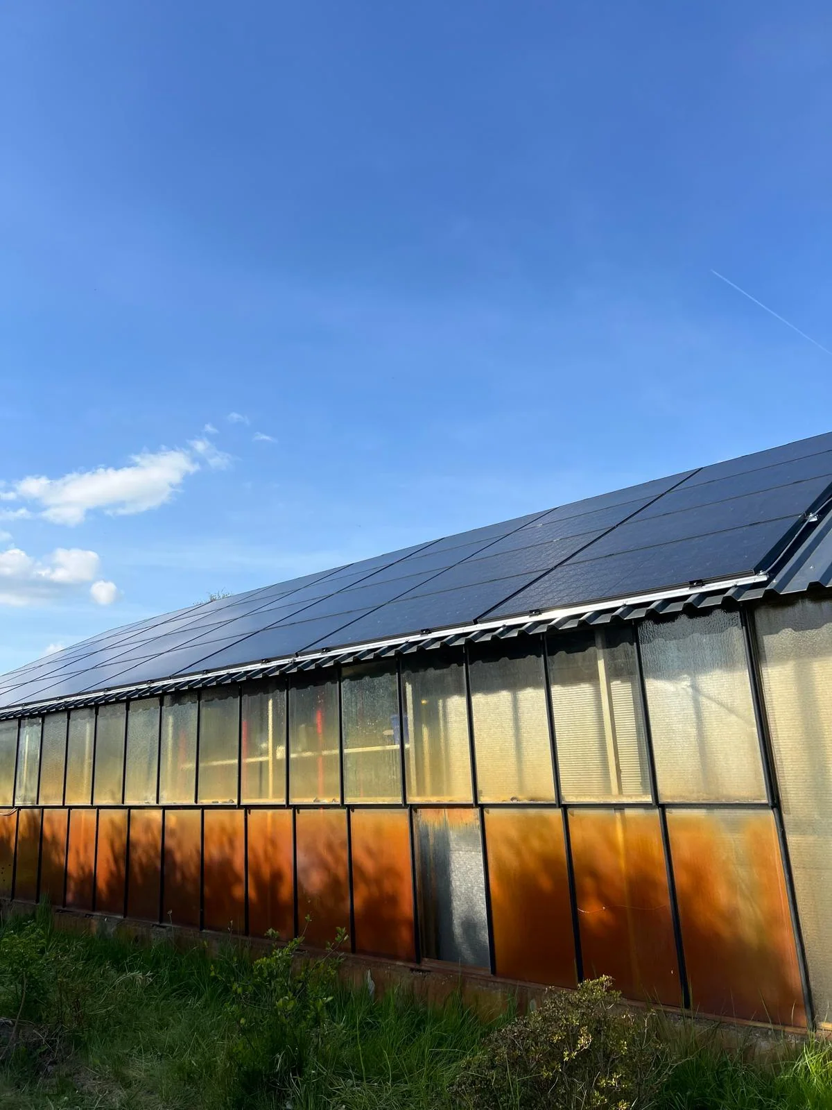 Photovoltaikmodule auf dem Dach eines gewerblichen Gebäudes